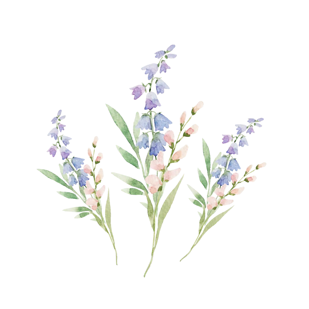 Flower bouquets