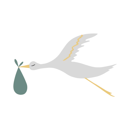 Stork carrying a baby